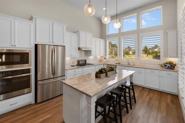 144 Dandelion Way, Montgomery, TX 77316