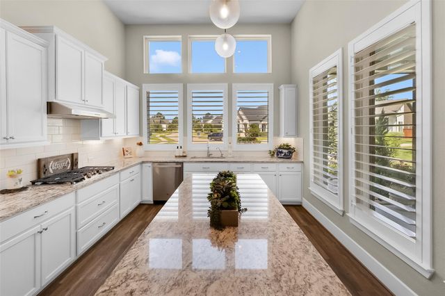 144 Dandelion Way, Montgomery, TX 77316