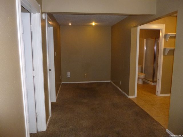 404 Donaldson Ave Rear, San Antonio, TX 78201