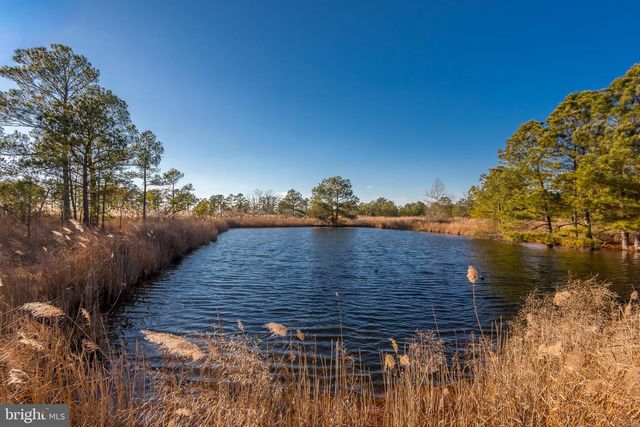 3819 MAPLE DAM RD, Cambridge, MD 21613