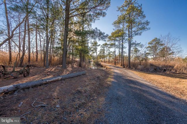 3819 MAPLE DAM RD, Cambridge, MD 21613