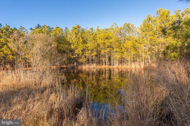 3819 MAPLE DAM RD, Cambridge, MD 21613