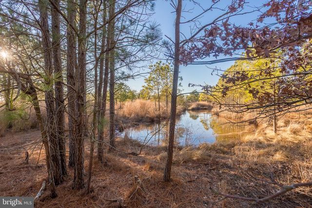 3819 MAPLE DAM RD, Cambridge, MD 21613