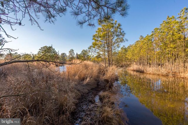 3819 MAPLE DAM RD, Cambridge, MD 21613