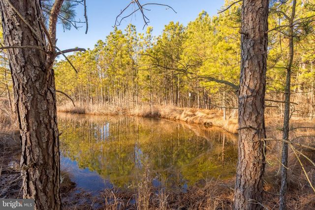 3819 MAPLE DAM RD, Cambridge, MD 21613