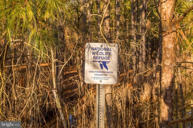 3819 MAPLE DAM RD, Cambridge, MD 21613