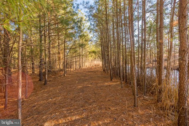 3819 MAPLE DAM RD, Cambridge, MD 21613