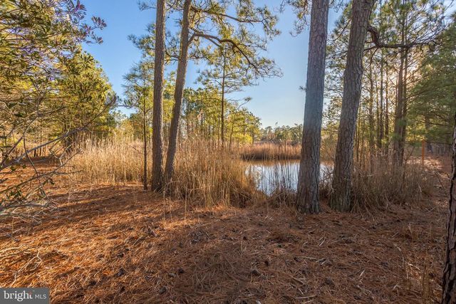 3819 MAPLE DAM RD, Cambridge, MD 21613