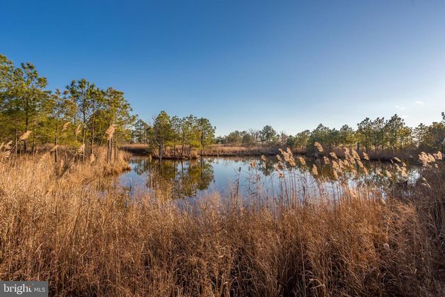 3819 MAPLE DAM RD, Cambridge, MD 21613