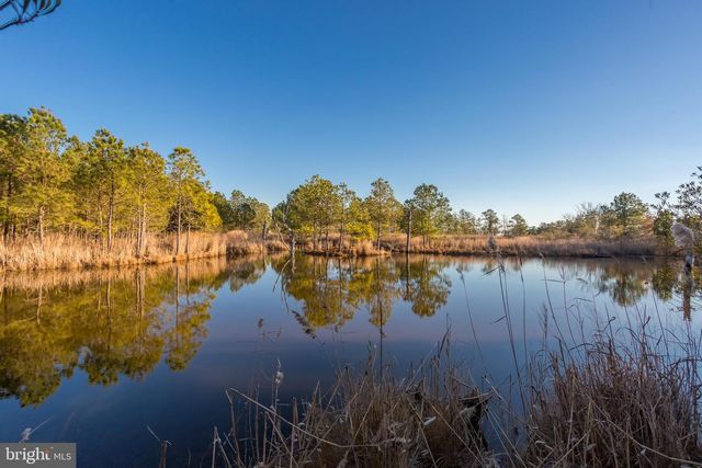 3819 MAPLE DAM RD, Cambridge, MD 21613