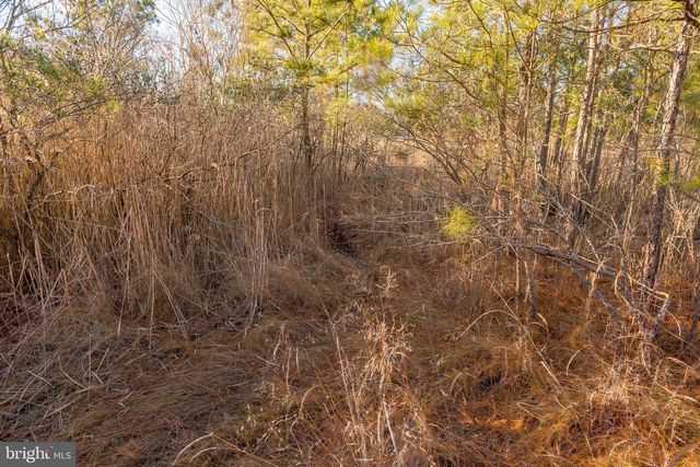 3819 MAPLE DAM RD, Cambridge, MD 21613