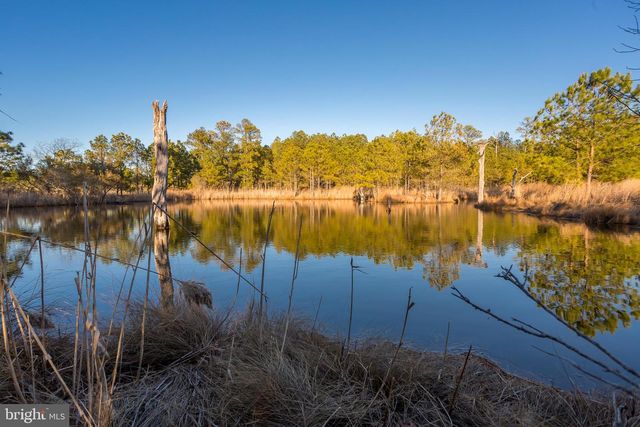 3819 MAPLE DAM RD, Cambridge, MD 21613