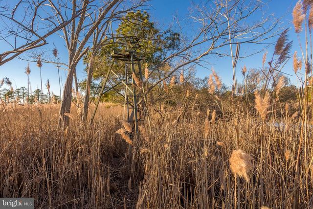 3819 MAPLE DAM RD, Cambridge, MD 21613