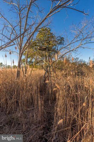 3819 MAPLE DAM RD, Cambridge, MD 21613