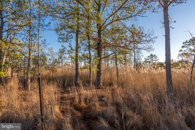 3819 MAPLE DAM RD, Cambridge, MD 21613