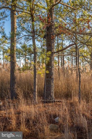 3819 MAPLE DAM RD, Cambridge, MD 21613