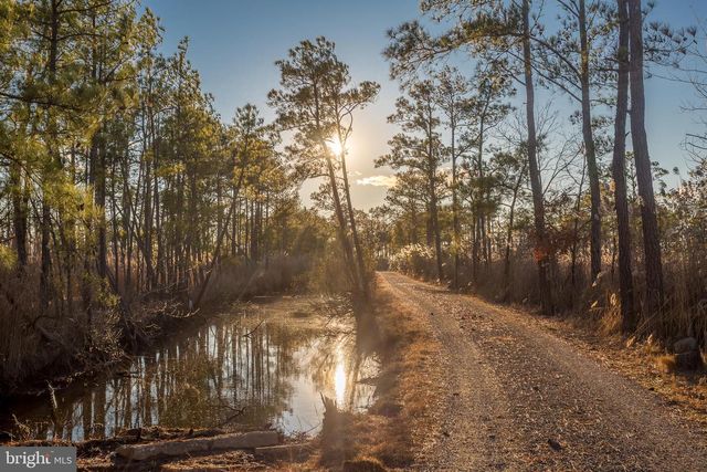 3819 MAPLE DAM RD, Cambridge, MD 21613