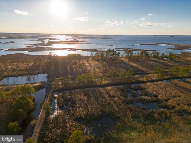 3819 MAPLE DAM RD, Cambridge, MD 21613