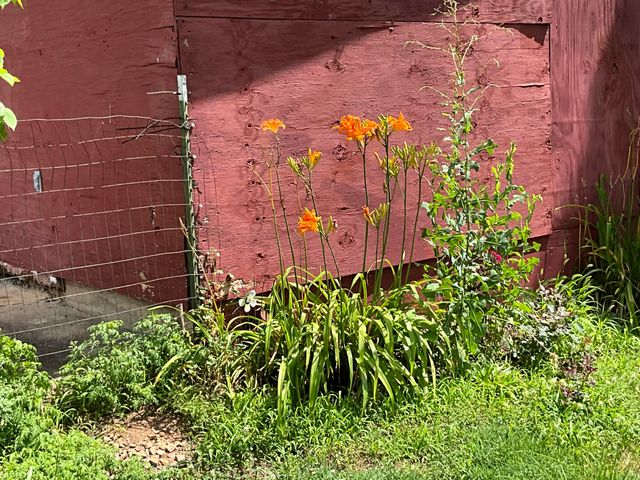 1681 S Us Highway 63, West Plains, MO 65775