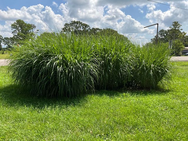 1681 S Us Highway 63, West Plains, MO 65775