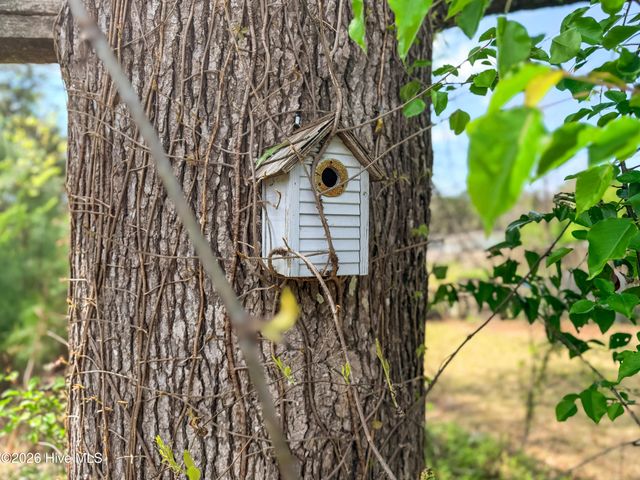 610 Wolverine Place, Jacksonville, NC 28546