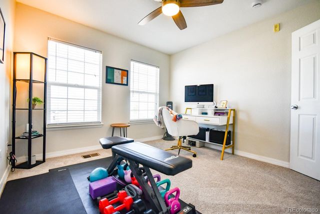 479 Black Feather Loop 319, Castle Rock, CO 80104