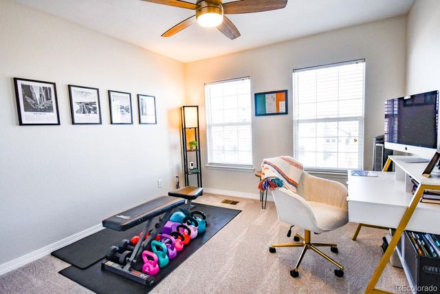 479 Black Feather Loop 319, Castle Rock, CO 80104