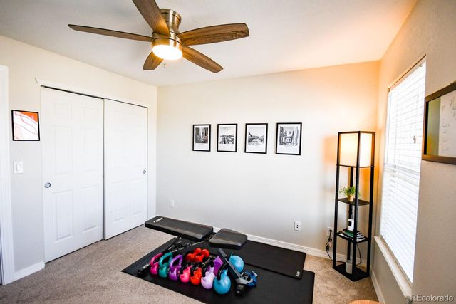 479 Black Feather Loop 319, Castle Rock, CO 80104