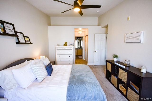 479 Black Feather Loop 319, Castle Rock, CO 80104