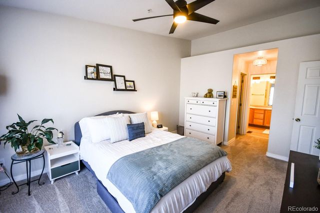 479 Black Feather Loop 319, Castle Rock, CO 80104