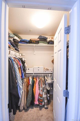 479 Black Feather Loop 319, Castle Rock, CO 80104