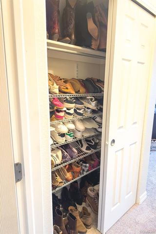 479 Black Feather Loop 319, Castle Rock, CO 80104