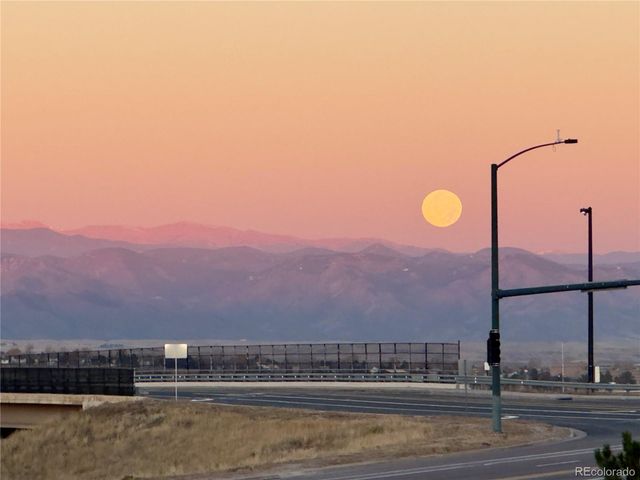 479 Black Feather Loop 319, Castle Rock, CO 80104