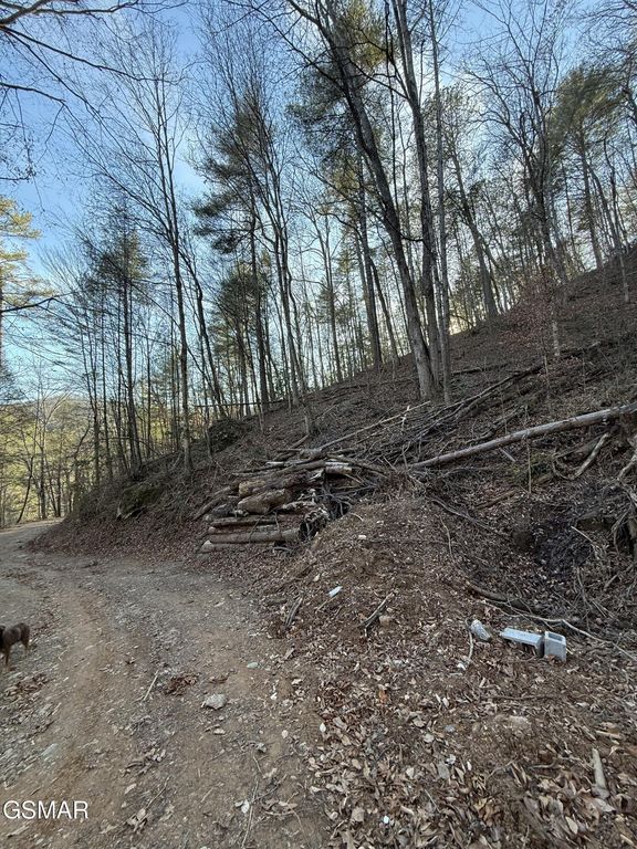 Lot 20 Meadow View Road, Sevierville, TN 37862