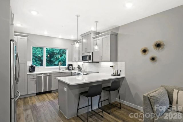 102 Southside Avenue 15, Asheville, NC 28801
