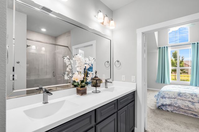 3780 White Clover Lane, Prosper, TX 75078