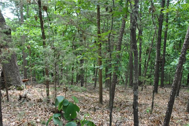 Lots 87-92 Mockingbird Lane, Rogers, AR 72756