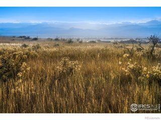 7895 County Road 84, Fort Collins, CO 80524