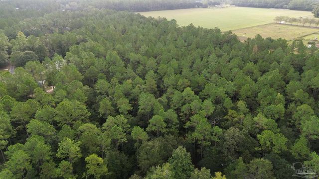 001 Wallace Lake Rd, Pace, FL 32571