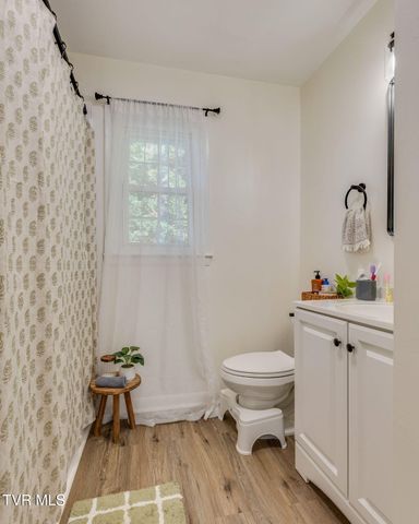 413 Anngea Lane, Kingsport, TN 37660