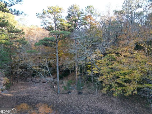 5656 Hamilton Road, Pine Mountain, GA 31822