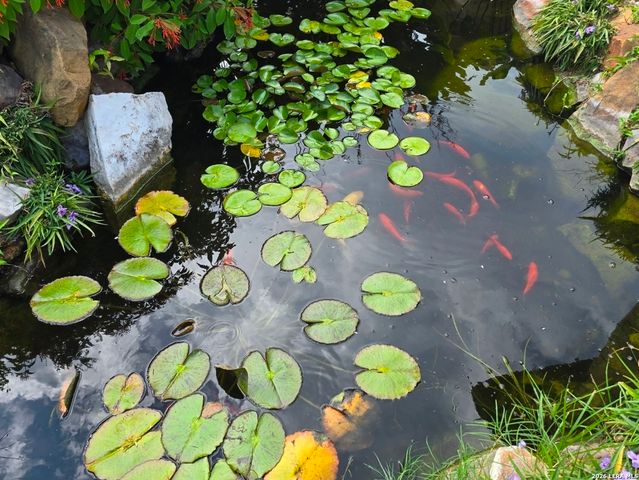 10918 Hunters Way, Helotes, TX 78023