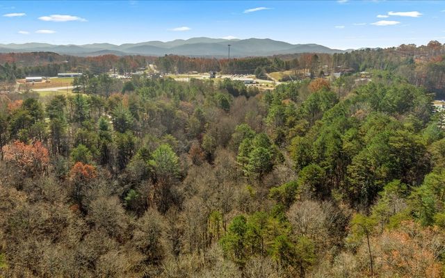 0 Lakewood Hwy, Mineral Bluff, GA 30559