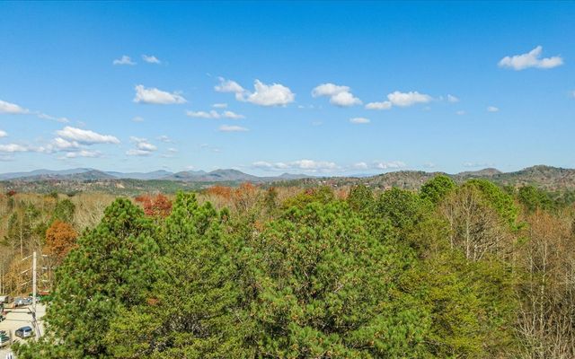 0 Lakewood Hwy, Mineral Bluff, GA 30559