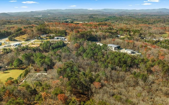 0 Lakewood Hwy, Mineral Bluff, GA 30559
