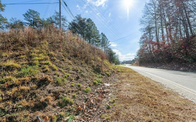 0 Lakewood Hwy, Mineral Bluff, GA 30559