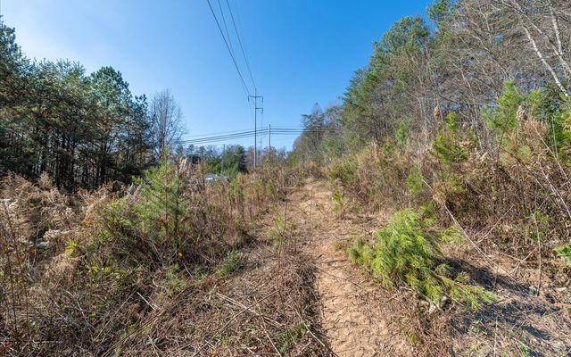 0 Lakewood Hwy, Mineral Bluff, GA 30559