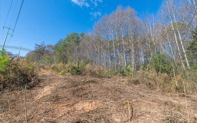 0 Lakewood Hwy, Mineral Bluff, GA 30559