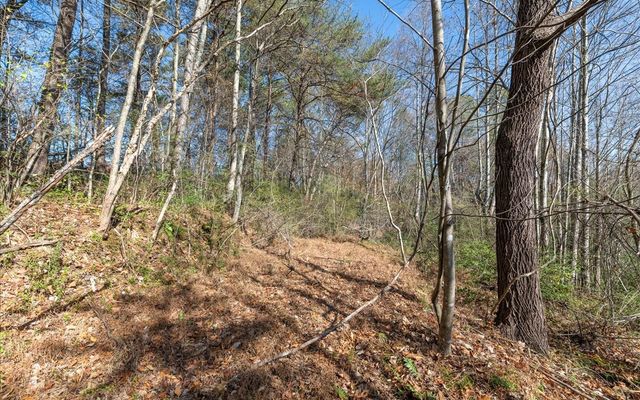 0 Lakewood Hwy, Mineral Bluff, GA 30559