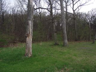 lot 012 Tuscola Avenue, St. Charles, IL 60174
